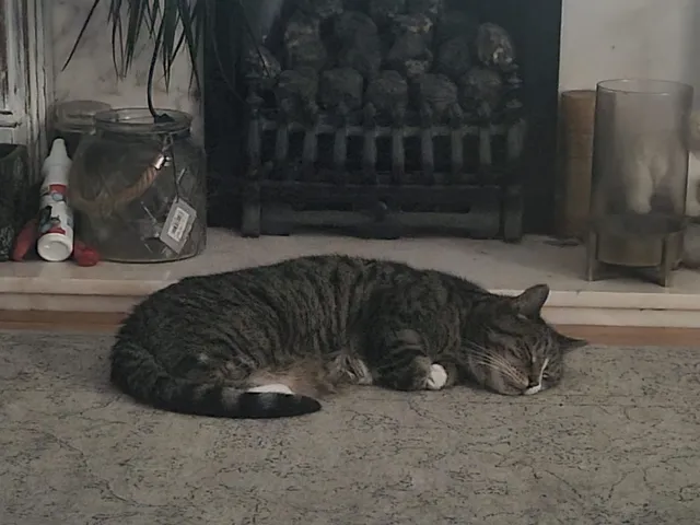 Tails - Kearsley Hall Road, Stoneclough, Manchester