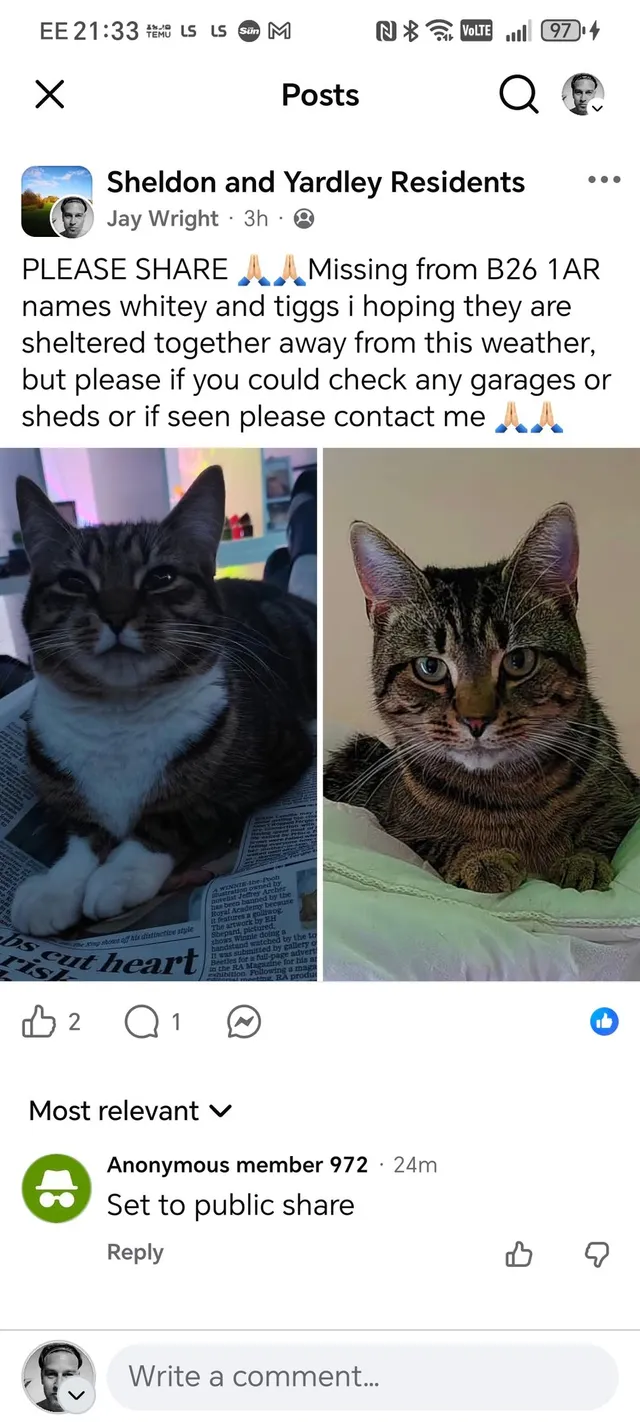 Tiggs and whitey - Hollyhurst Grove, Birmingham