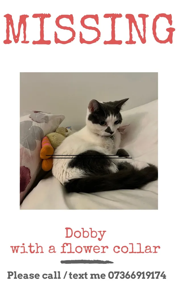Dobby - Burlington Road, New Malden