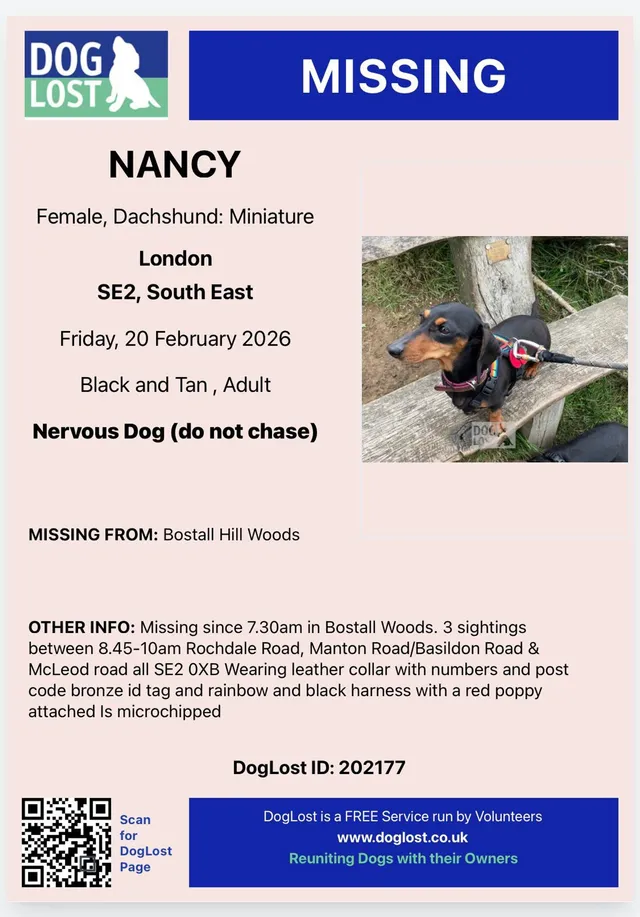 Nancy - Knee Hill, London